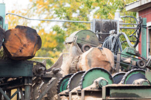 we use all products from the timber including bark, sawdust and mulch. Selling rough sawn lumber, buyers of standing timber in michigan