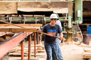 rough sawn lumber for sale from elders sawmill in rockford michigan. we ship rough sawn lumber to customers all over the world for furniture manufacturing.